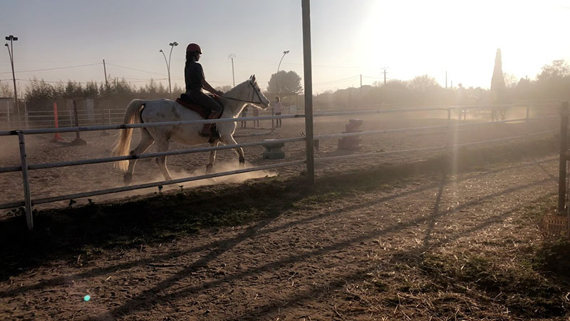 Cours d’équitation pour adultes Hyères